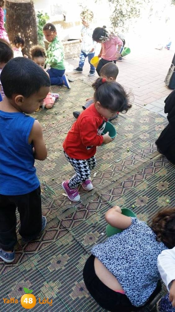 alkeram zatoon3 (14).jpg